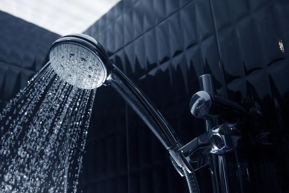 dark wall panels in shower