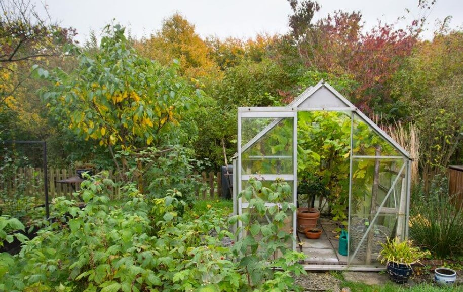 mini green house in garden
